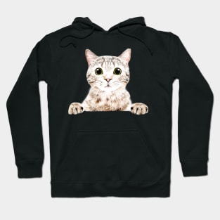 Shy Kitten Hoodie